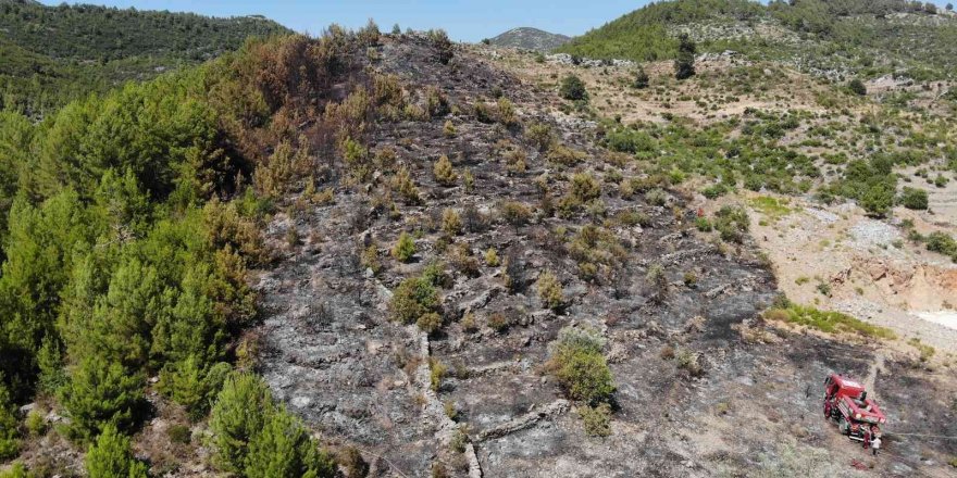 Tarladan makilik alana sıçrayan yangın ormana ulaşmadan söndürüldü