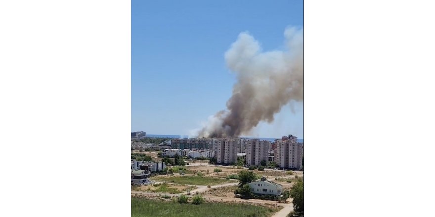 Antalya’da orman yangını