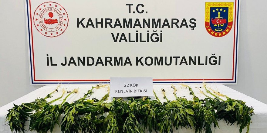 Kahramanmaraş’ta uyuşturucu operasyonu