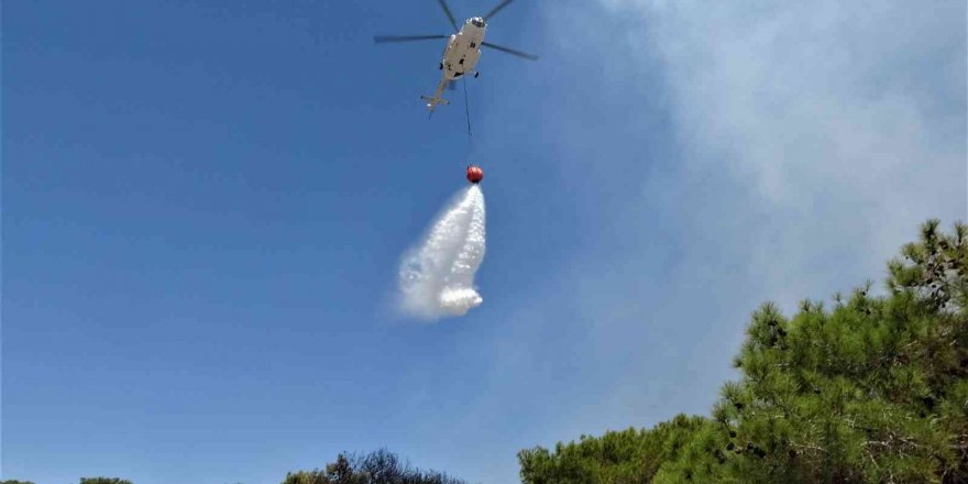 Antalya’da çamlık alandaki yangın kontrol altına alındı