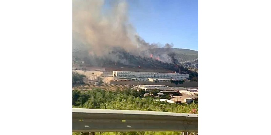 Mersin’deki orman yangını kontrol altına alındı