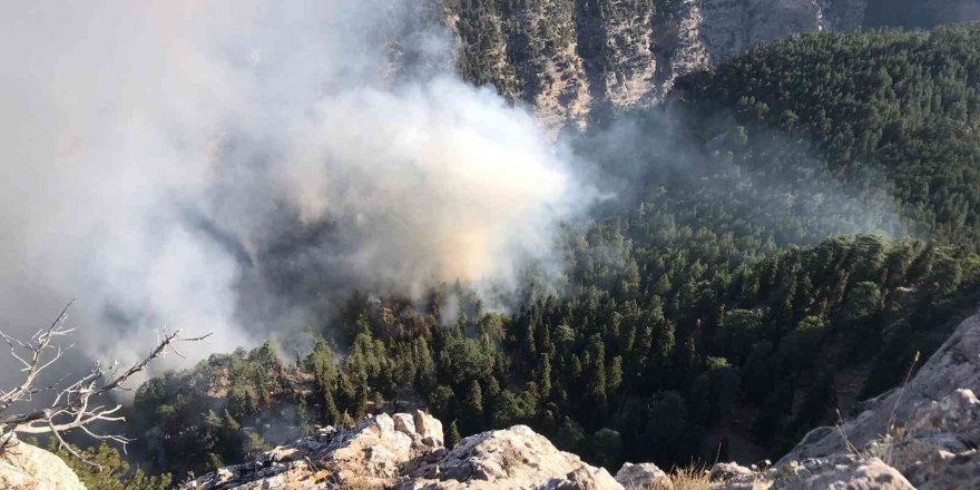 Mersin’de orman yangınına müdahale sürüyor