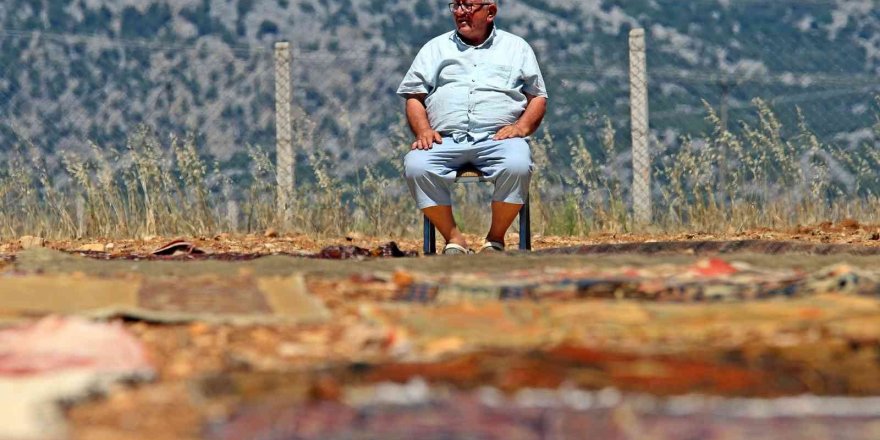 Antalya’da tarlalarda milyonluk ’organik halı’ nöbeti