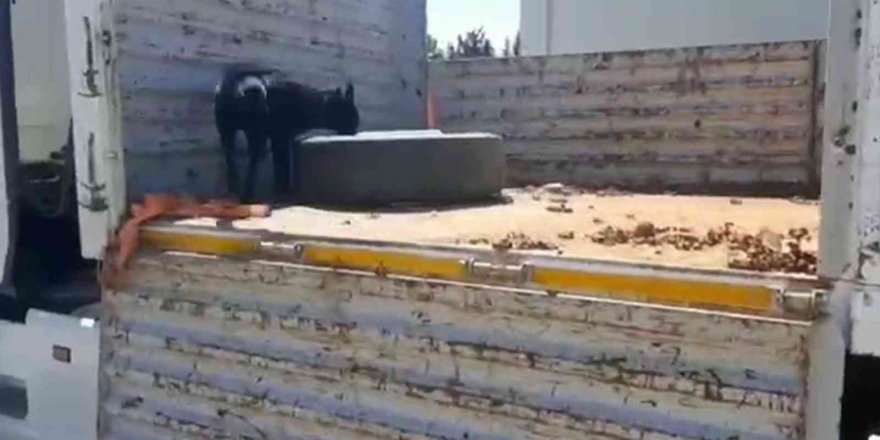 Hatay’da 41 kilo metamfetamin ile 6,4 kilo eroin ele geçirildi