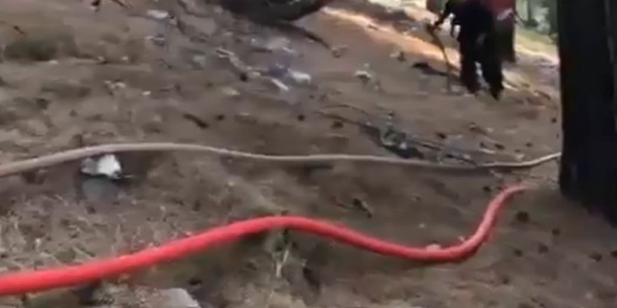 Büyük Manavgat yangınında ormancılara sırtında erzak taşıdı, yıl dönümünde çiçeklerle ziyaret edildi