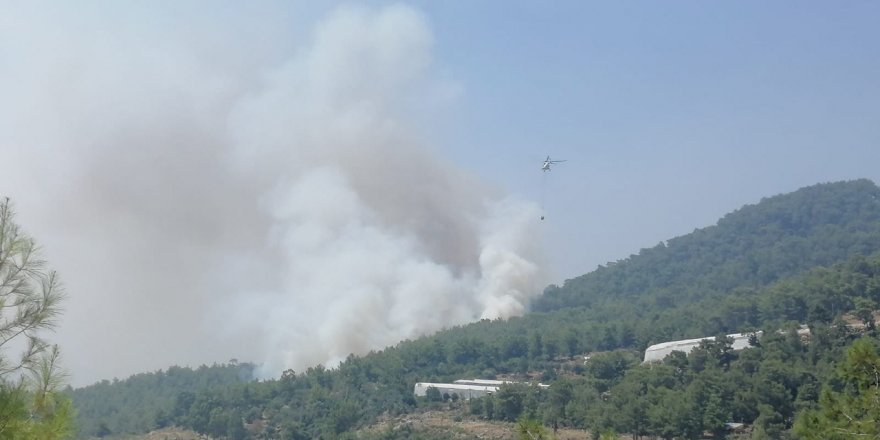 Mersin’de orman yangınına 2 uçak ve 5 helikopterle müdahale ediliyor