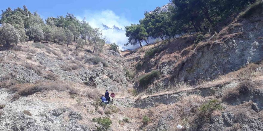 Hatay’da orman yangını