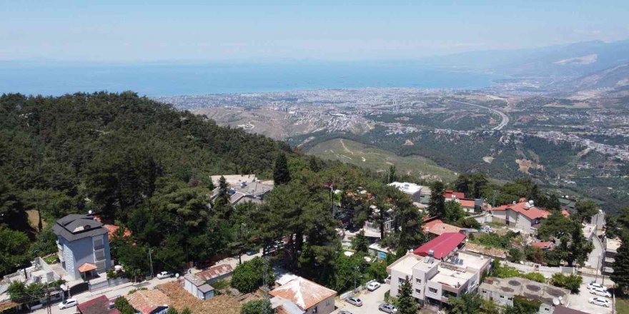 "soğukoluk Yaylasına Yatırım Yapın" Çağrısı