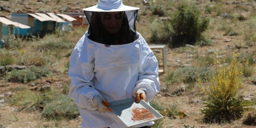 Uzmanlığını anne şefkati ile birleştirip arıcılığa başladı