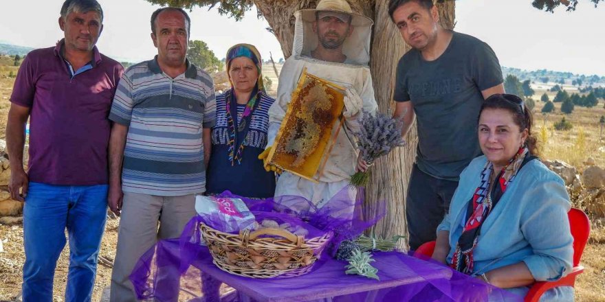 Silifke’de lavanta balı üretimi yapıldı