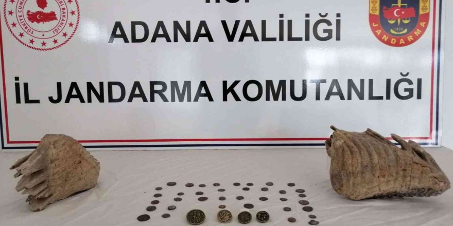 Adana’da mamut fosili ele geçirildi