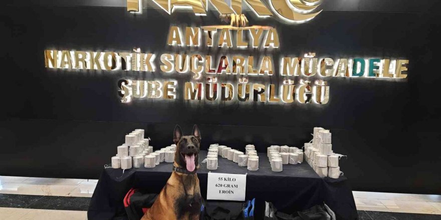 Antalya’da bir TIR’da 50 kilo uyuşturucu ele geçirildi