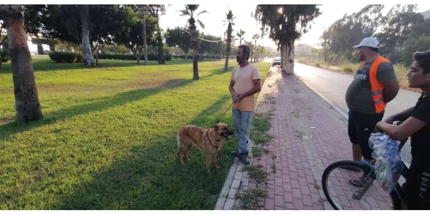 Antalya’da otluk alanda köpek tarafından bulunan cesedin kimliği belirlendi