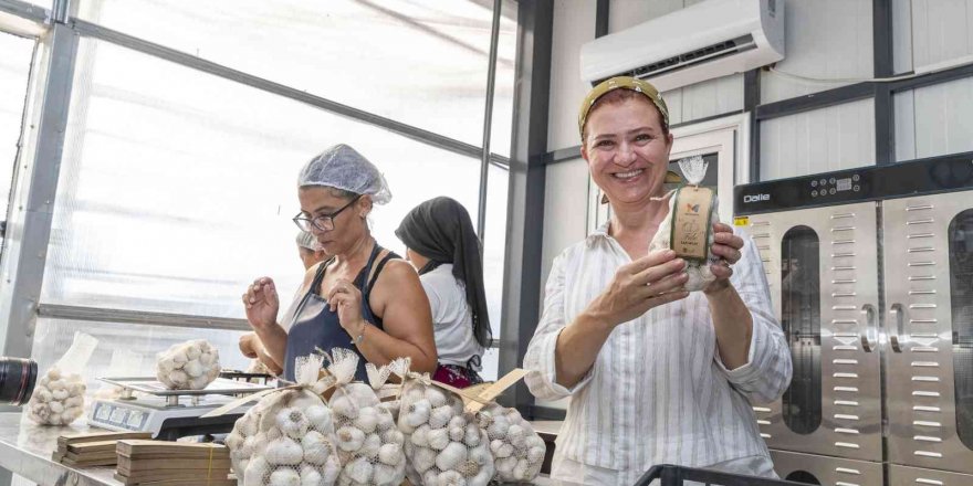 50 yıllık ata tohumu, Mersinden Kadın Kooperatifi ile sofralarda yerini aldı