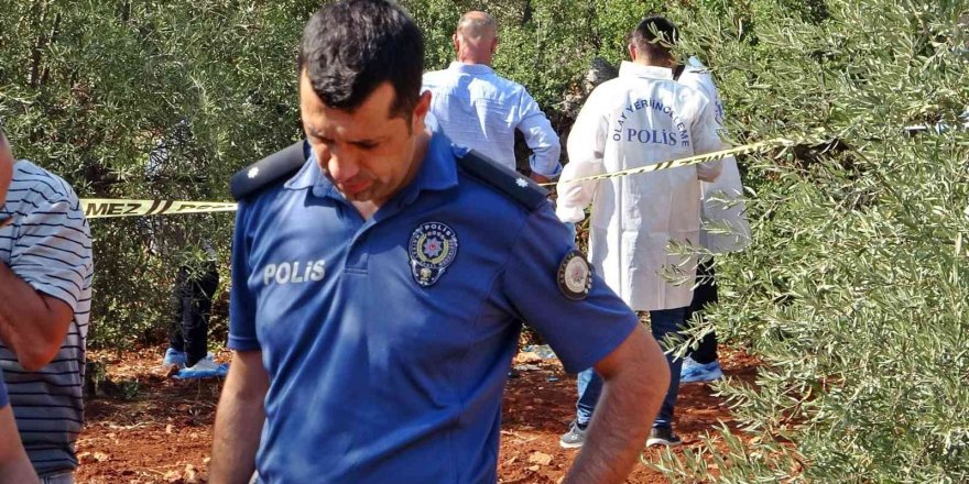 Antalya’da zeytinlik alanda 23 yaşındaki gencin cesedi bulundu