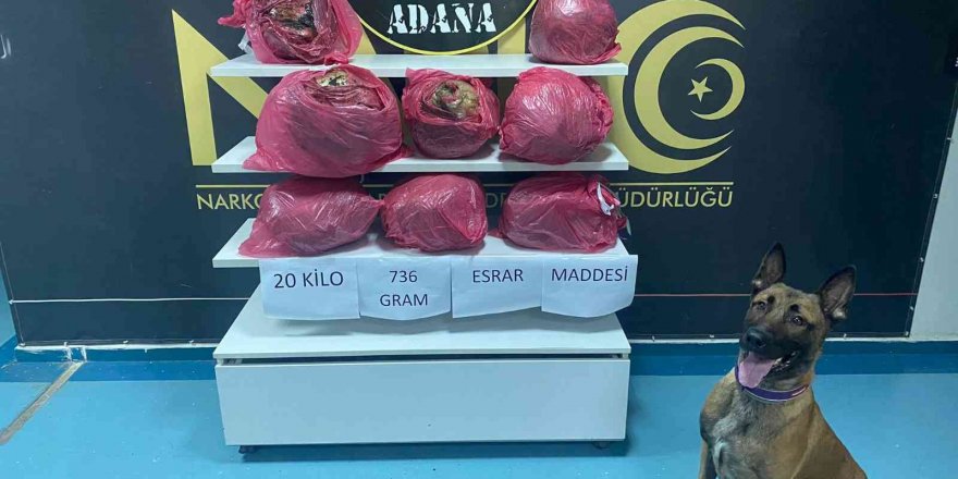 Adana’da 20 kilo 736 gram esrar ele geçirildi