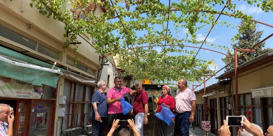 Başkan kepçe üstünde üzüm hasadı yaptı