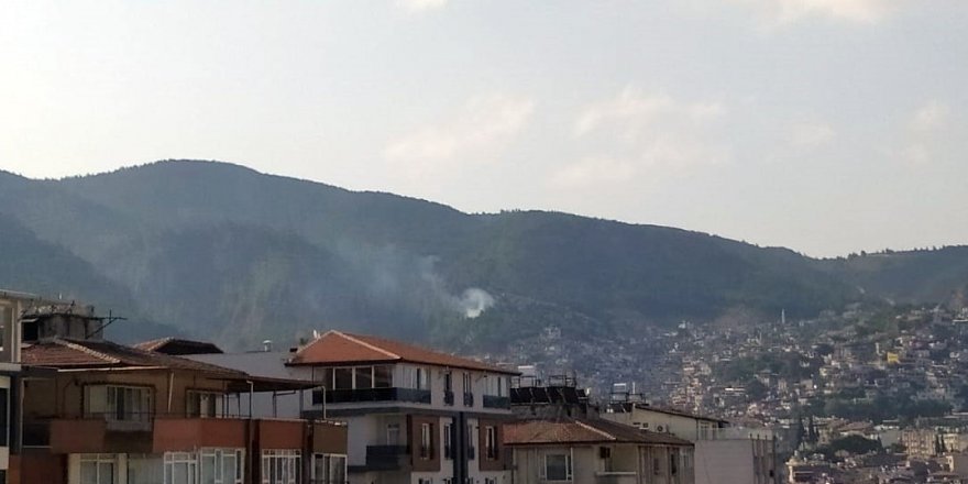 Hatay’da çıkan orman yangını kontrol altına alındı