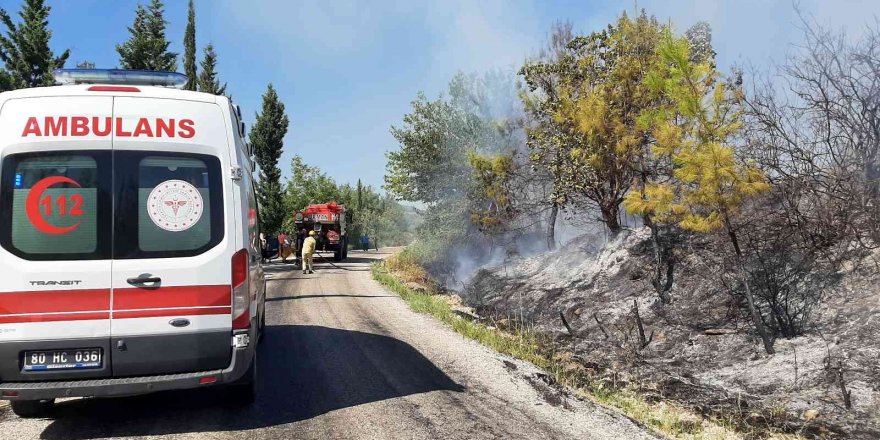 Osmaniye’de orman yangını kontrol altına alındı