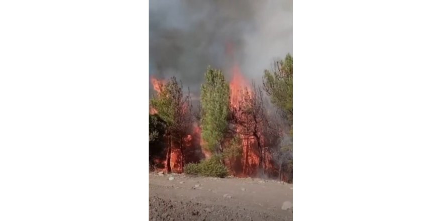 Kahramanmaraş’ta ikinci orman yangını