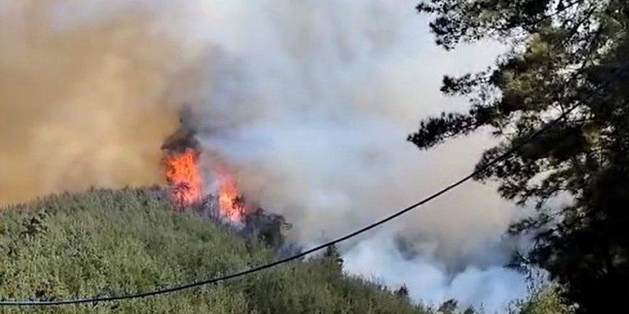 Kahramanmaraş’taki yangında 35 hektar ormanlık alan zarar gördü