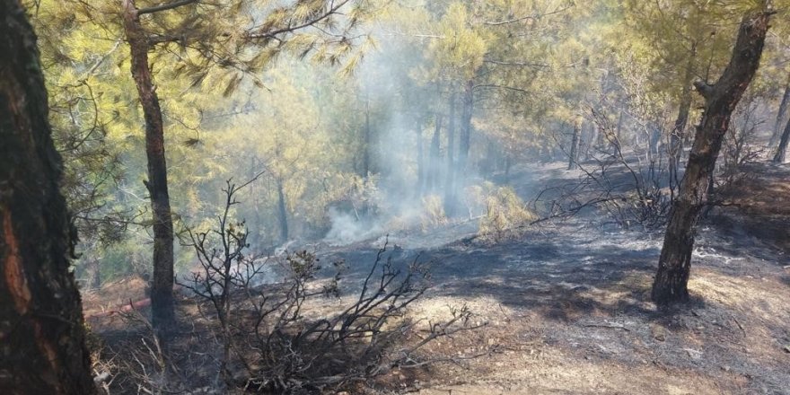 Hatay’da çıkan orman yangınına müdahale ediliyor