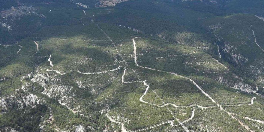 Gölhisar Orman İşletme Sahası Havadan Denetlendi