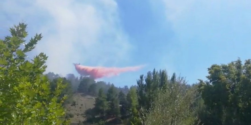 Antalya’da çıkan orman yangını kısmen kontrol altına alındı