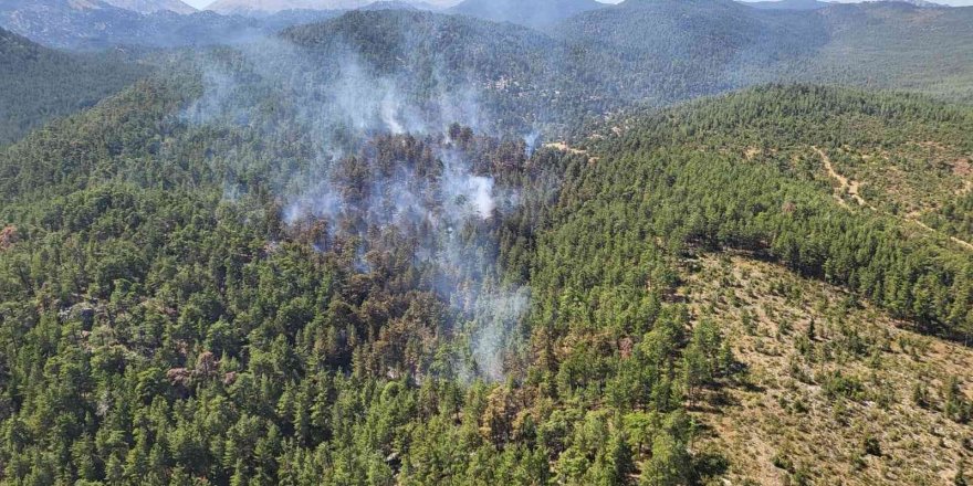 Antalya’da orman yangını kontrol altına alındı