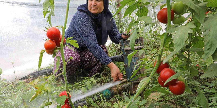 Toprakları suya kavuşan Manavgatlı çiftçinin yüzü güldü