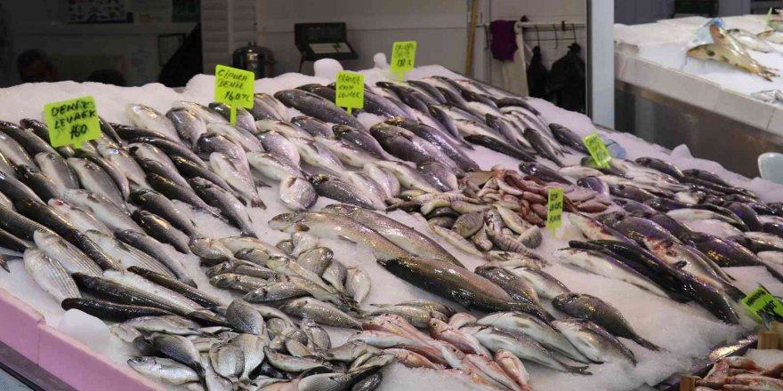 Antalya’da av sezonun açılmasıyla balıklar tezgahlardaki yerini aldı
