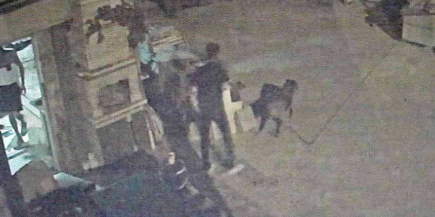 Antalya’da akıl almaz olay, tartıştığı arkadaşına sinirlenip aynı ismi taşıyan köpeği vurdu