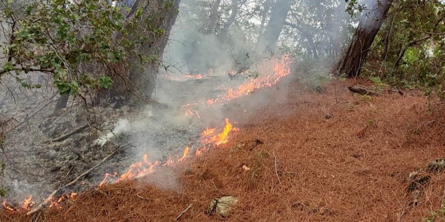 Amanos Dağları’na düşen yıldırım orman yangınına neden oldu