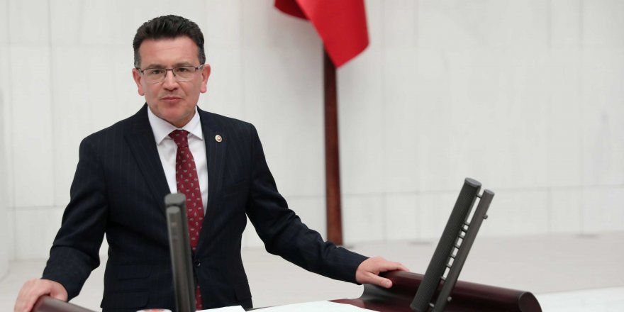AK Partili vekil, gözlemci seçildi