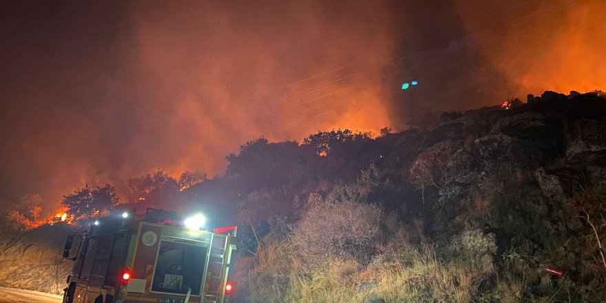 Bodrum'da makilik yangını; 5 dönüm zarar gördü