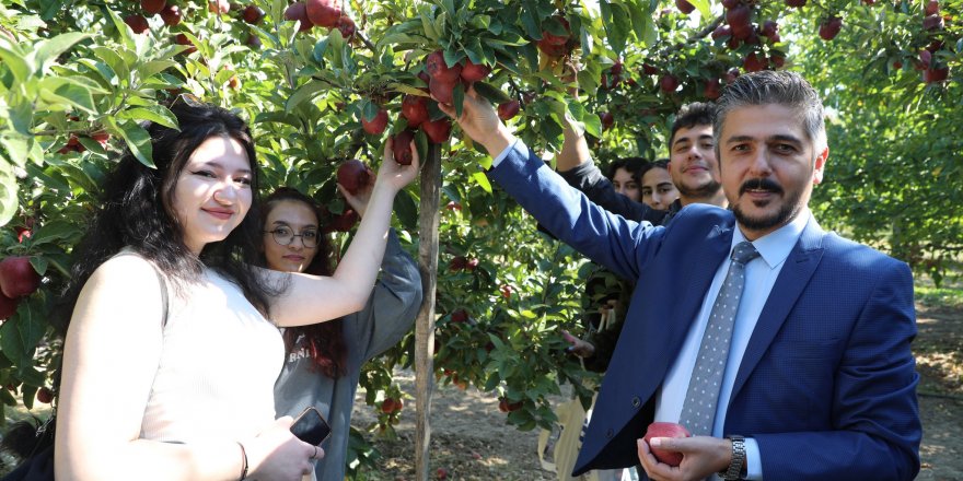 Rektör Öğrencilerle Elma Topladı