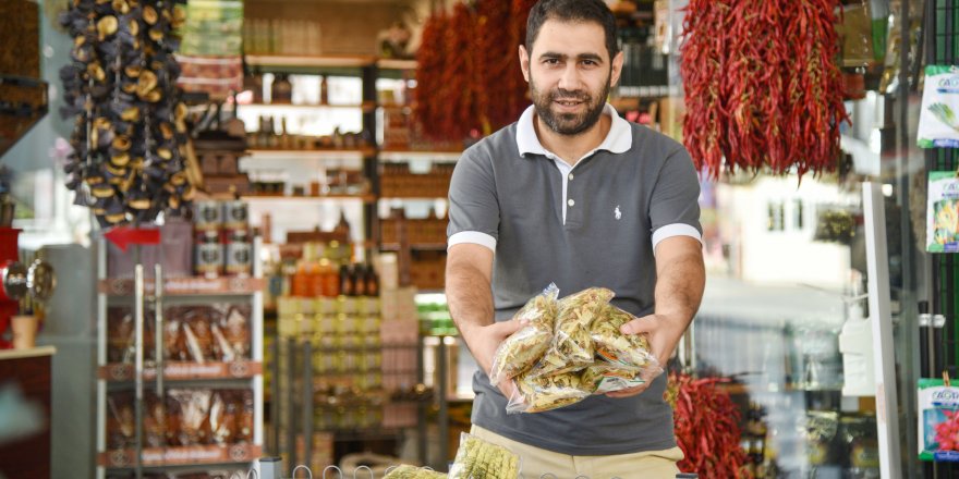 Ihlamurun Kilo Fiyatı, Gram Altınla Yarışıyor