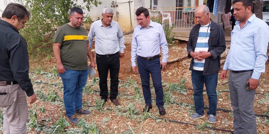Doludan 102 Çiftçinin 305.5 Dekar Alanı Zarar Gördü