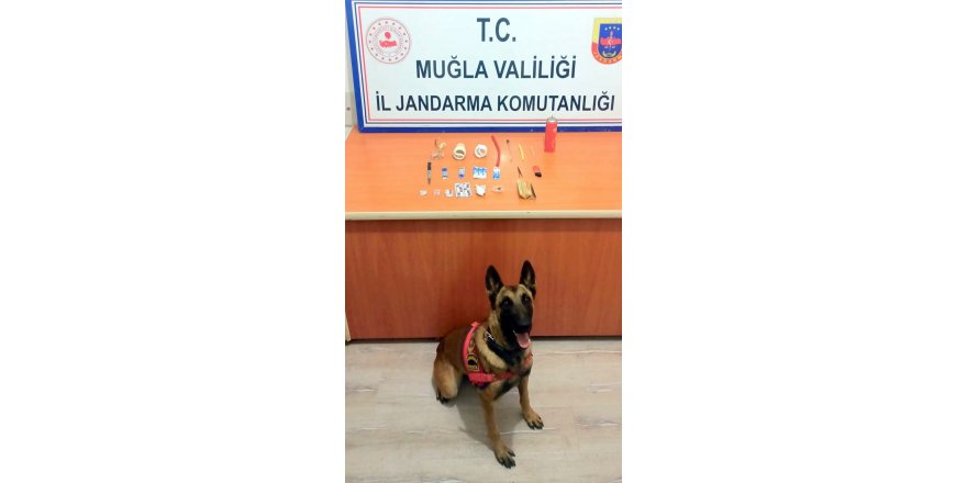 Otomobildeki uyuşturucuyu narkotik köpeği 'Mendil' buldu