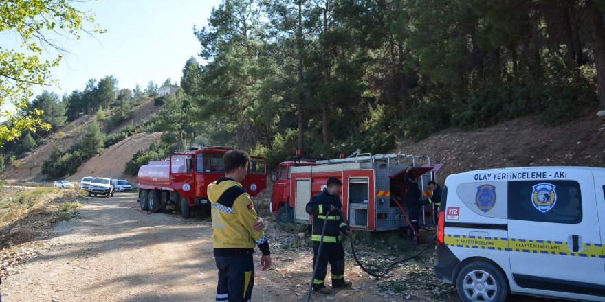Korkuteli'de orman yangını