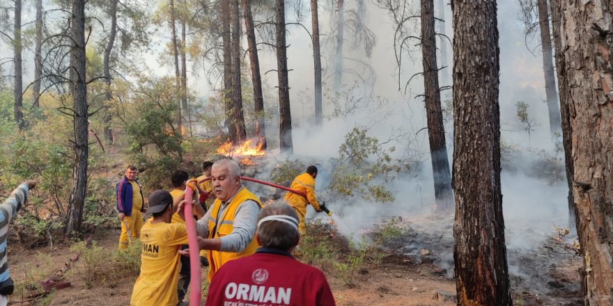 Burdur'da orman yangını