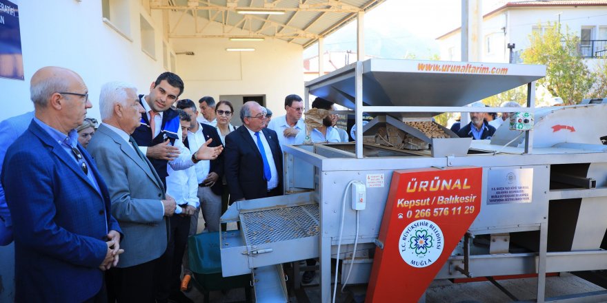Muğla'da Datça bademi ve zeytinciliği için iş birliği