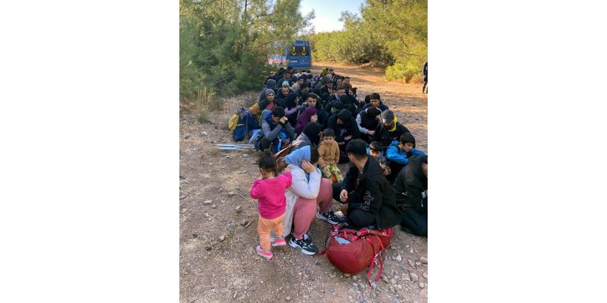 Ormanda 68 kaçak göçmen yakalandı, organizatör baba-oğul tutuklandı