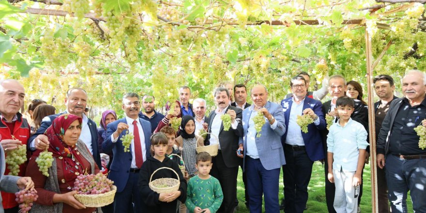 Seydikemer'de 'Bağbozumu Şenliği'