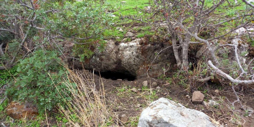 Muğla'da kaçak tarihi eser kazısına suçüstü
