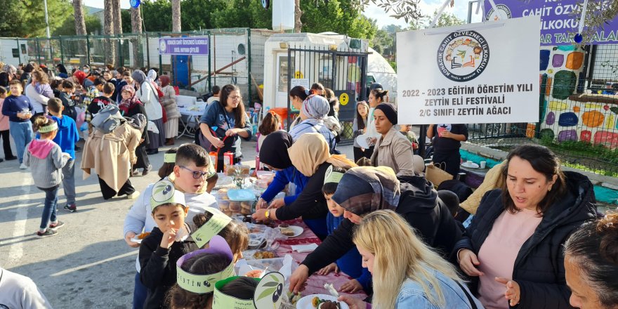 Bodrum'da ilkokulda hasadın ardından zeytin festivali