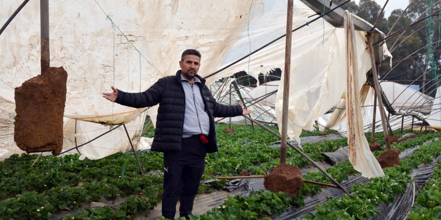 Serik'teki hortumda serası yıkılan üretici: 4 dönümü yerle bir etti