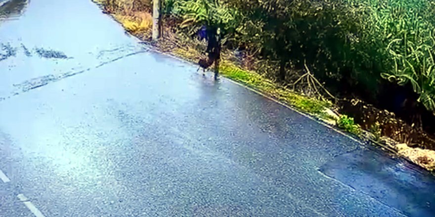 25 gündür kayıp Seda Nur'dan iz yok