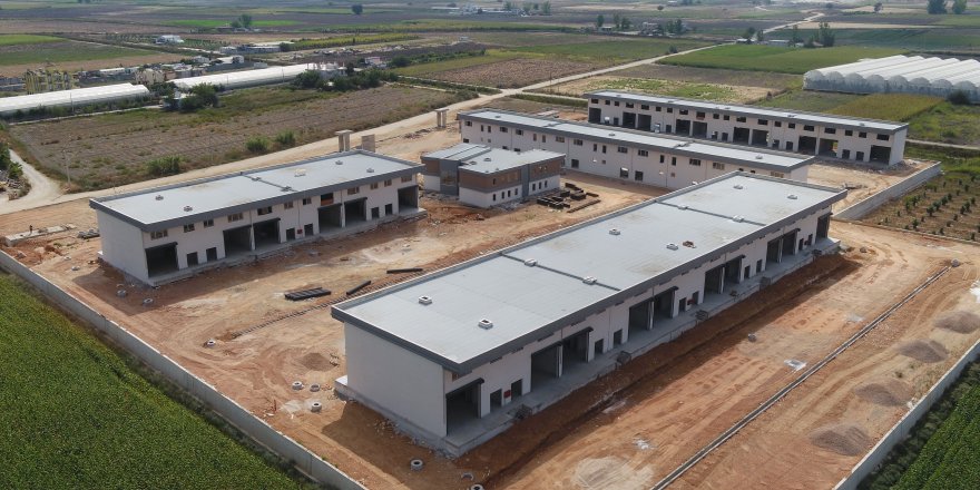 Manavgat Toptancı Hali inşaatı tamamlandı