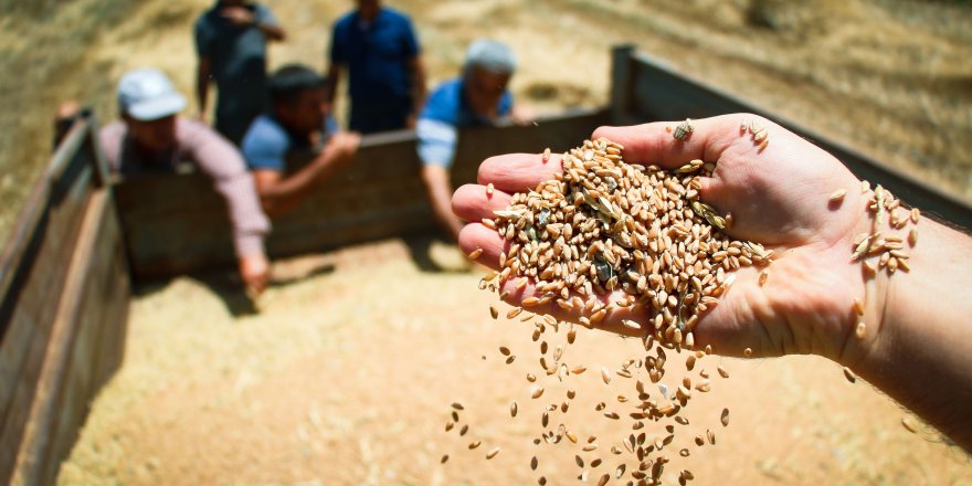 Antalya tarımına geçen yıl 143 milyonluk destek